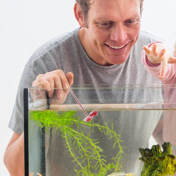 Moluckfu User Friendly Red Betta Training Rod for Fish Tank Activities and Skill Improvement