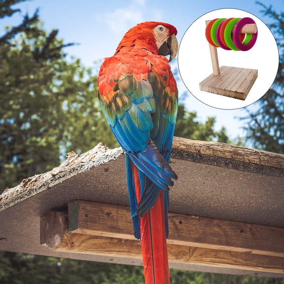 Moluckfu Wooden Parrot Toy with Shape, Interactive Bird Activity Toy for Cage Use