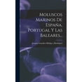 thumbnail image 1 of Moluscos Marinos De España, Portugal Y Las Baleares... (Hardcover), 1 of 9