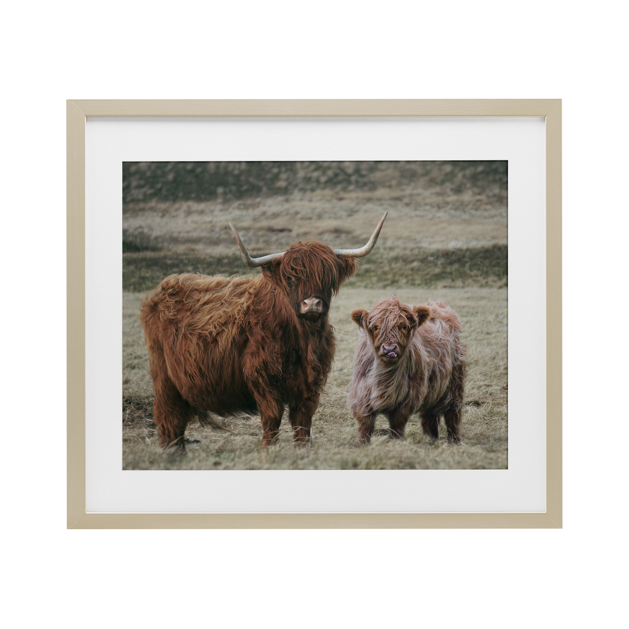 Mom & Baby Cow Birch Framed Print Under Glass, design by Lettered and Lined