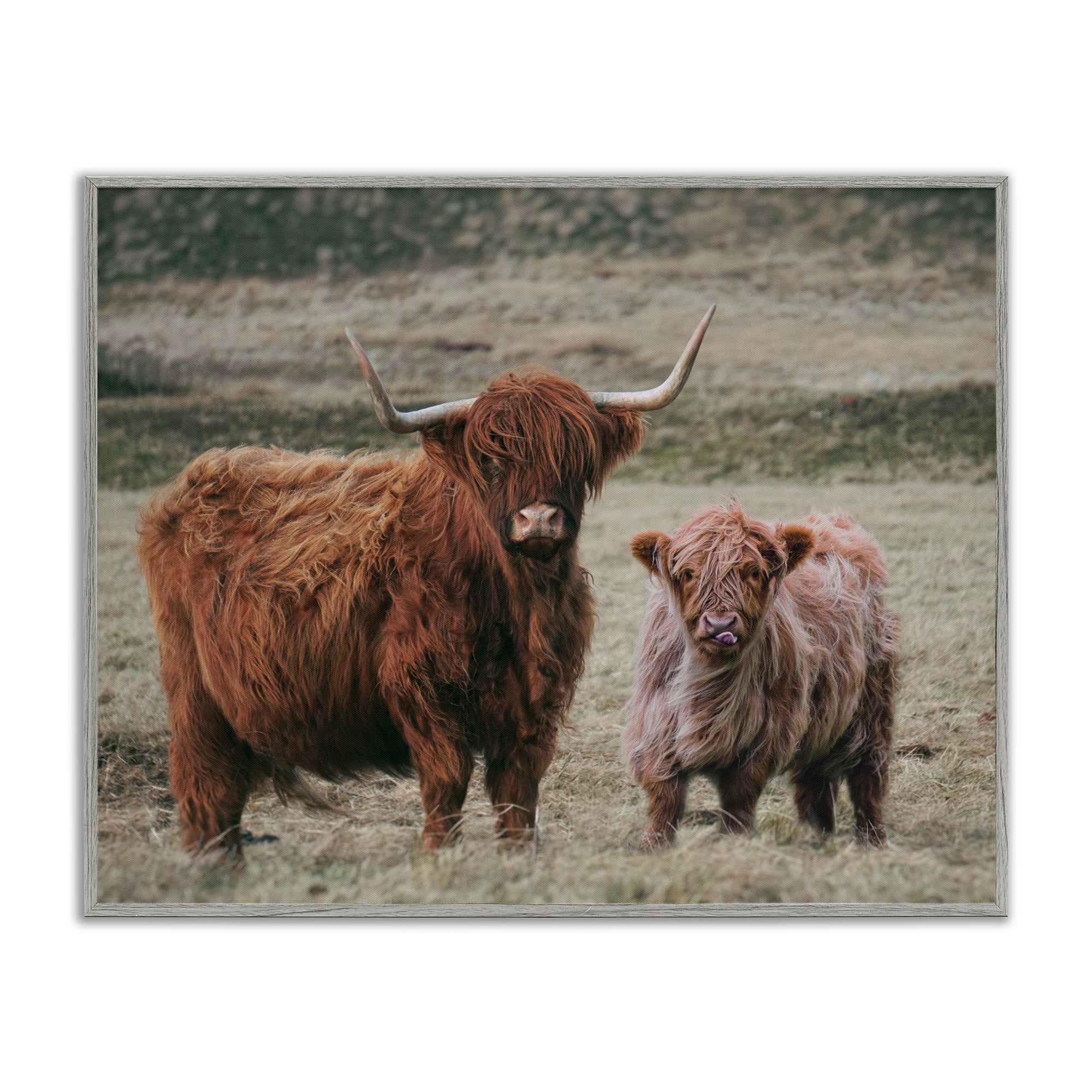 Mom & Baby Cow Gray Framed Giclee Art, design by Lettered and Lined