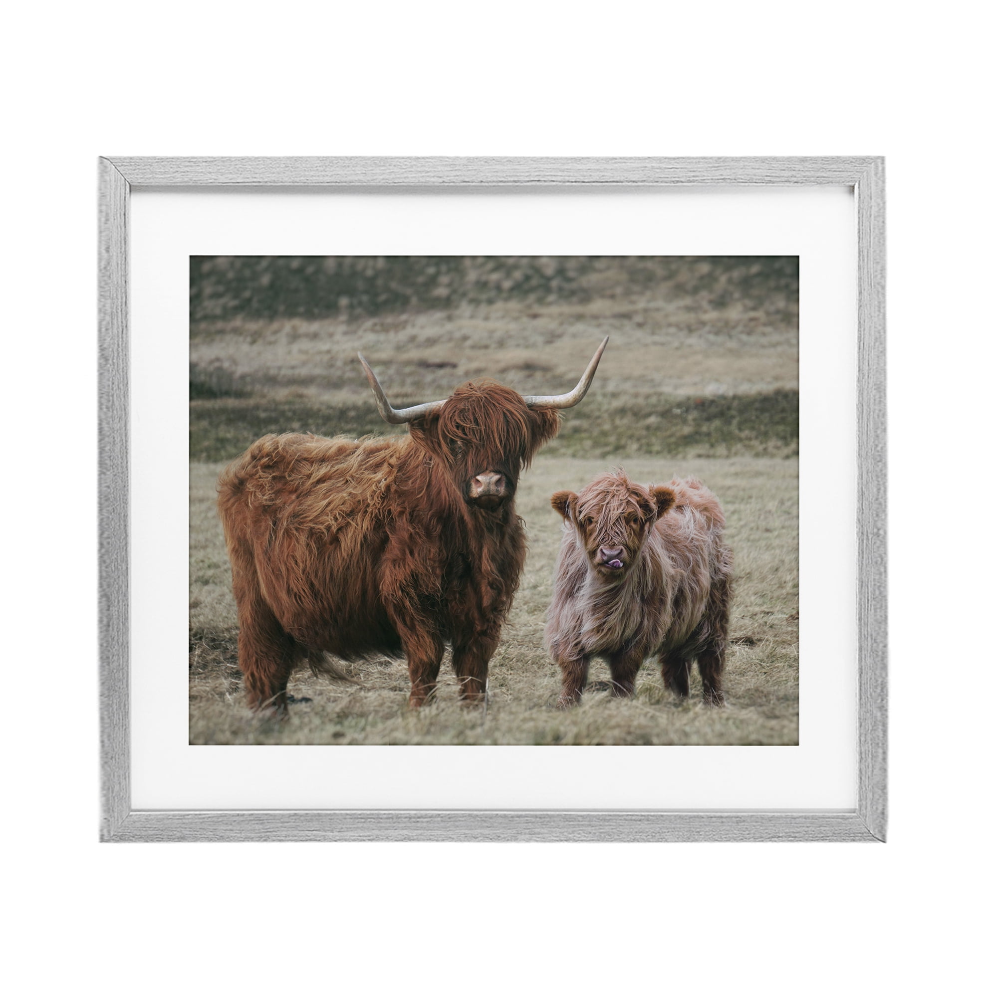 Mom & Baby Cow Gray Framed Print Under Glass, design by Lettered and Lined