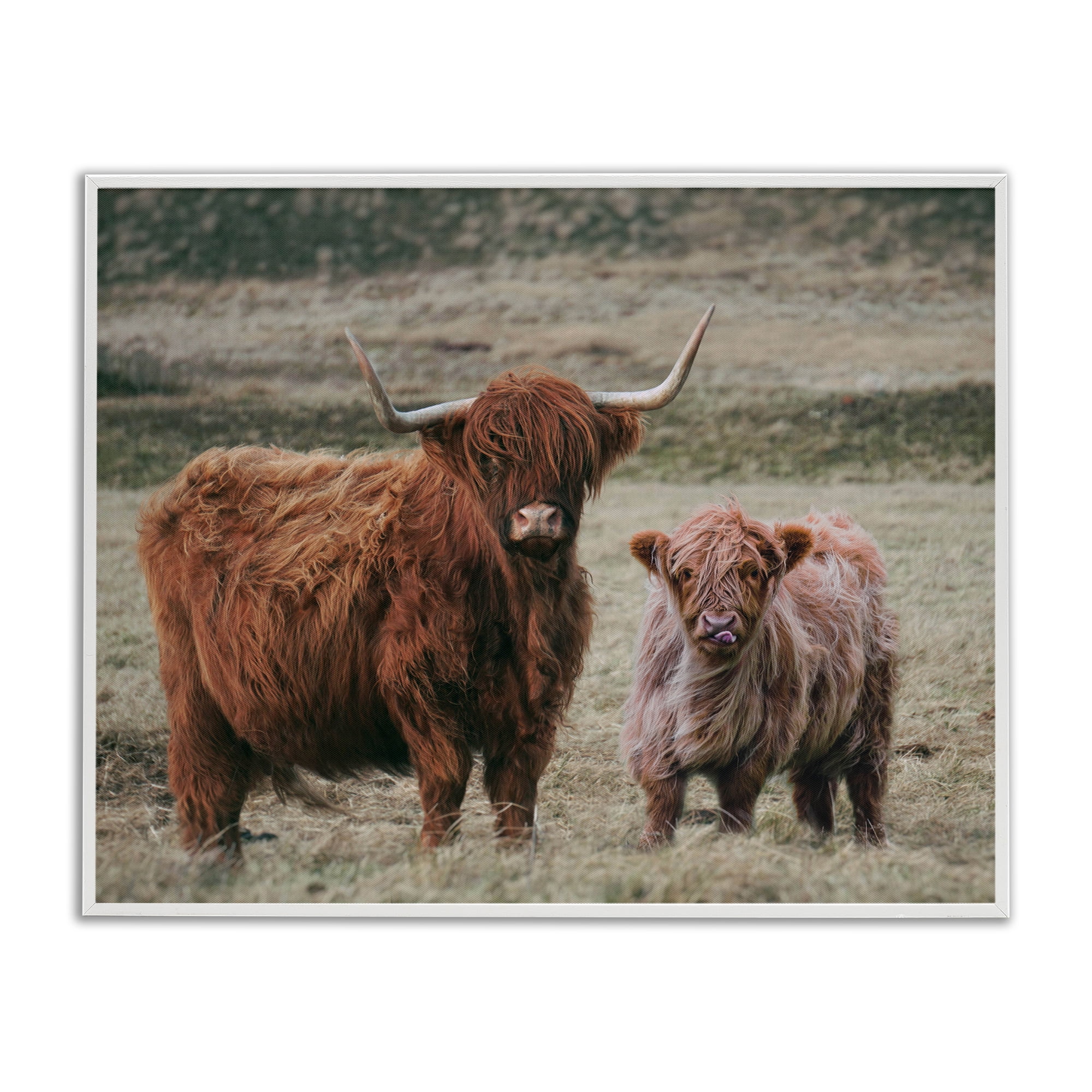 Mom & Baby Cow White Framed Giclee Art, design by Lettered and Lined