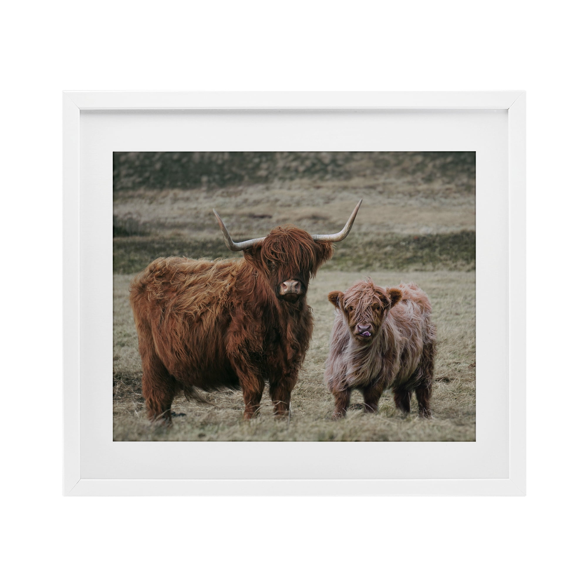 Mom & Baby Cow White Framed Print Under Glass, design by Lettered and Lined