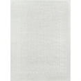thumbnail image 1 of Momeni Covington Polyester Ivory Area Rug 2' X 3', 1 of 5