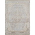 thumbnail image 1 of Momeni Rugs Isabella Traditional Medallion Flat Weave Area Rug, 4' X 6', Grey, 1 of 3