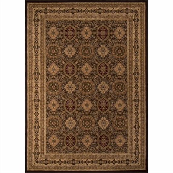 Momeni Royal RY-01 Brown 11'3" x 15' Rug