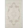 thumbnail image 1 of Momeni Valencia Oriental Traditional Area Rugs, Gray/Off-White , 24" x 36", 1 of 6