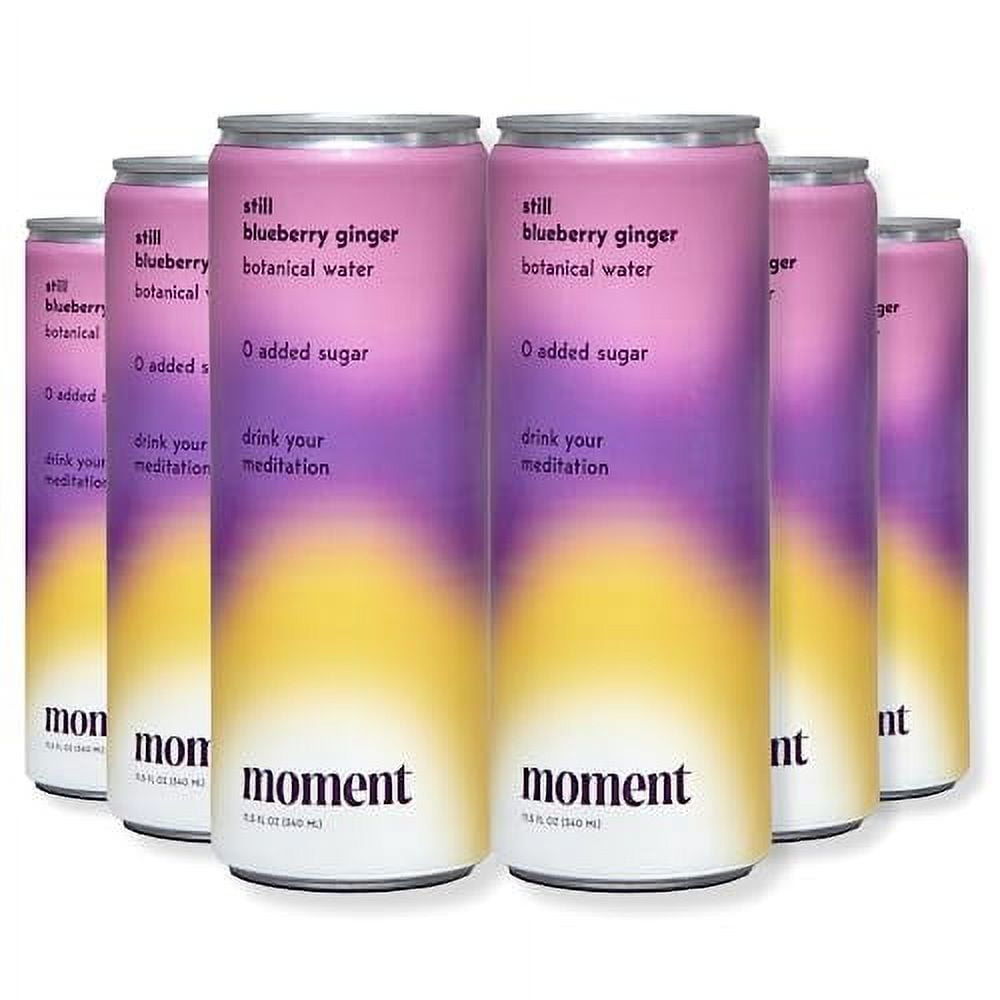 Moment Adaptogen Drink (as seen on Shark Tank) STILL Blueberry Ginger