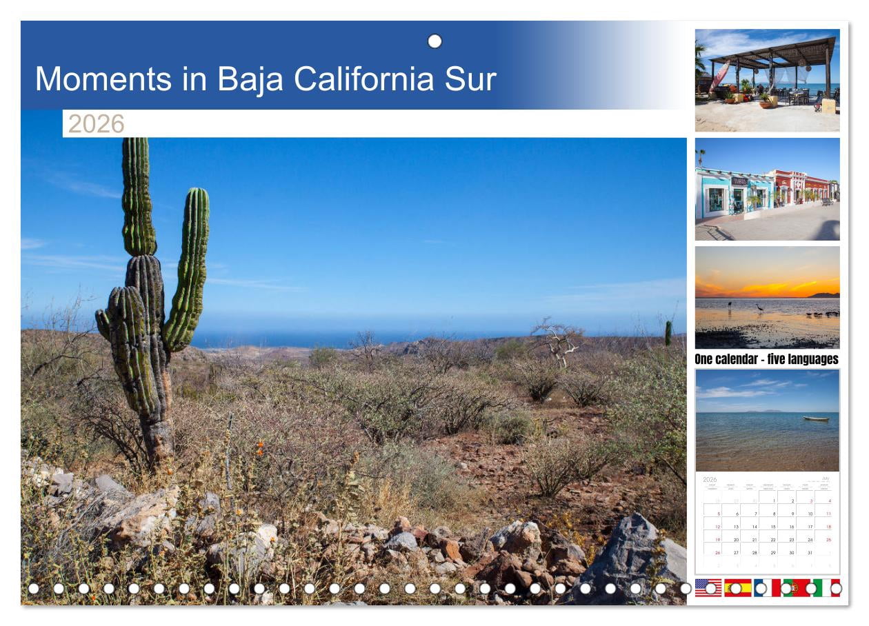 Moments in Baja California Sur (Monthly Wall Calendar 2026 11.7 x 16.5 ...
