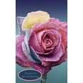 thumbnail image 1 of Moments of Your Wedding Day: Guest Book Writing Journal for the Family and Guests, 1 of 1