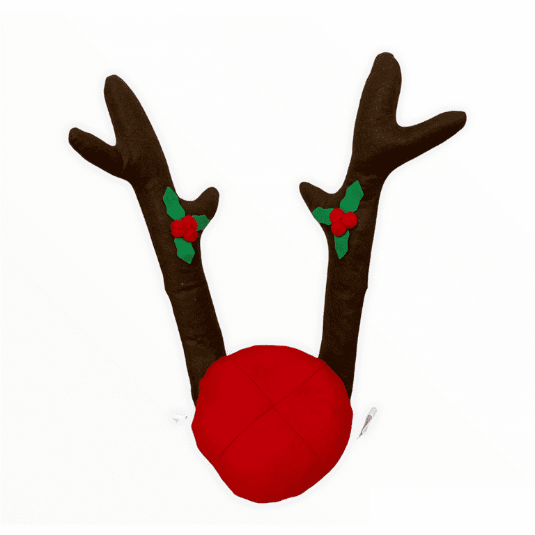 Reindeer accessories 2024