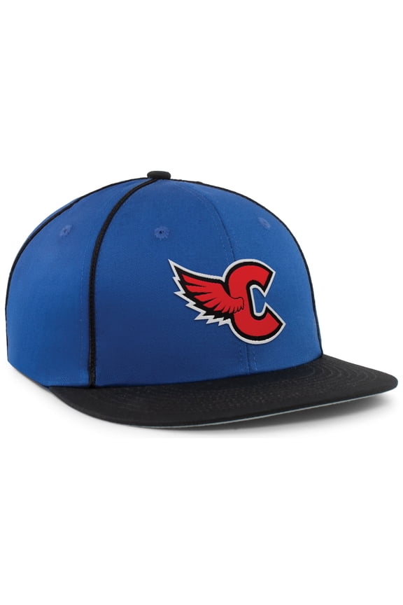 Momentum Team Cap