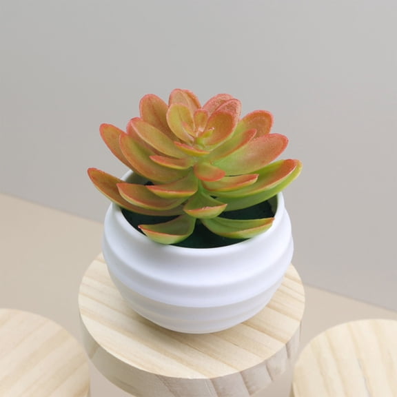 Momihoom Artificial Faux Succulents in Pots Fake Plants Ceramic Arrangement Planter for Women Desk Small Mini Tiny Decoration