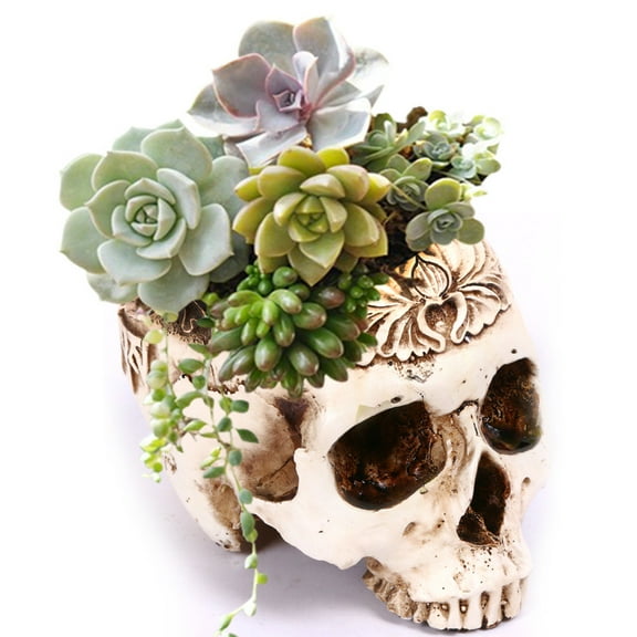 Momihoom Skull Planter Pot Resin Flower Succulents Pot Planter Skull Head Flowerpot Halloween Skeleton Sculpture Decor for Home Office Decoration
