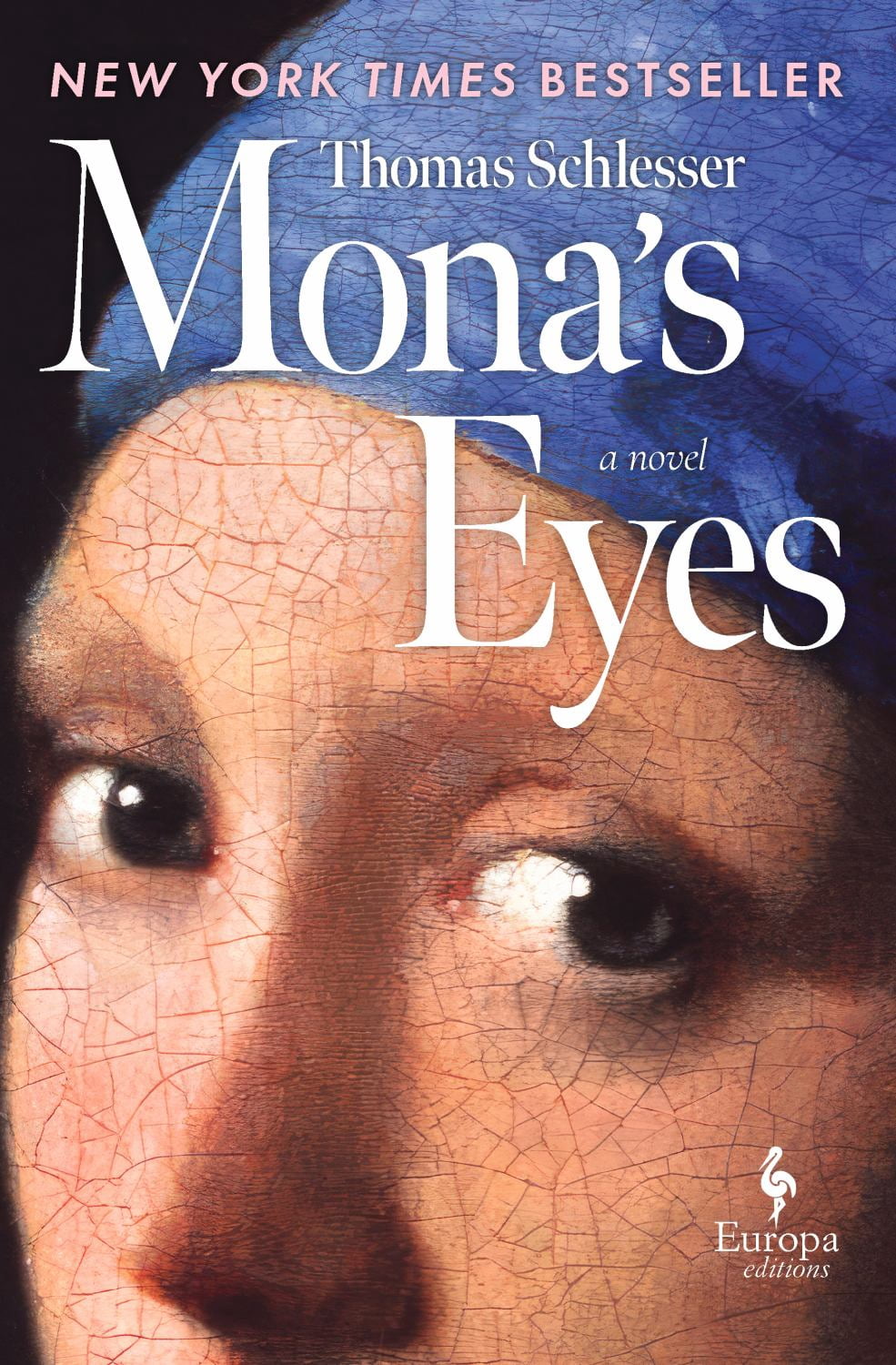 Mona's Eyes: A Novel (Hardcover)