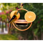 Monarch Abode Oriole Bird Feeder with Clear Bowl, Orange