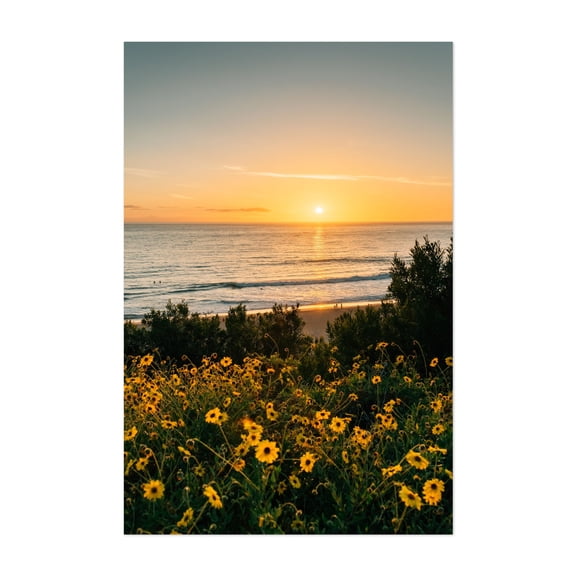 Monarch Beach Sunset 02 - Dana Point California Photography Sunset Beach Ocean Nature Scenic Flowers Coastal Unframed Wall Art Print 32 x 48 inches