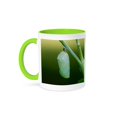 thumbnail image 1 of Monarch Butterfly, Danaus Plexippus, Chrysalis Marion Co., Il, 11oz Two-Tone Green Mug, 1 of 7
