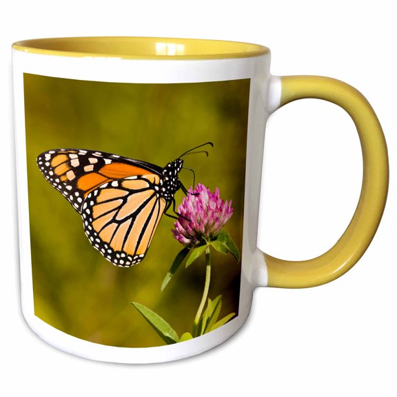 3drose, Monarch Butterfly, Grafton, Massachusetts - Us22 Jmo0357 - Jerry and Marcy Monkman, 15oz Two-tone Yellow Mug