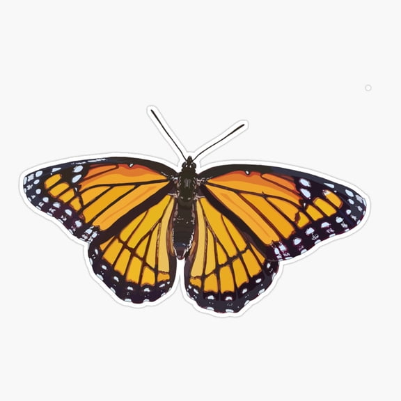 Monarch Butterfly Insect Art Vinyl Decal Sticker