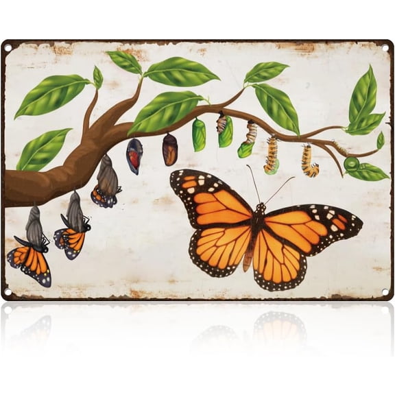 Monarch Butterfly Life Cycle Tin Sign Retro Metal Wall Decor 8" x 12" Vintage Nature Wall Art Poster for Home Cafes Game Room Bar Outdoor Garage Yard Gym Man Cave Decor Gift