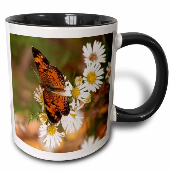 3drose, Monarch Butterfly on Wild Daisies, 11oz Two-tone Black Mug