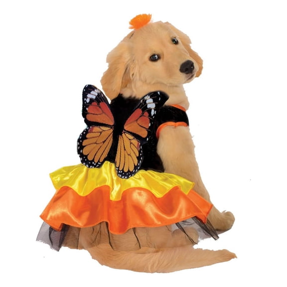 Rubies Monarch Butterfly Pet Costume for Dogs or Cats, Large