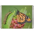 thumbnail image 1 of Monarch Butterfly, a 140-piece Puzzle by Pigment & Hue, 1 of 3