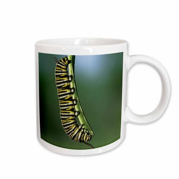 3drose, Monarch Caterpillar Insect, Rio Grande Valley, Tx - Us44 Rnu0198 - Rolf Nussbaumer, 11oz Mug