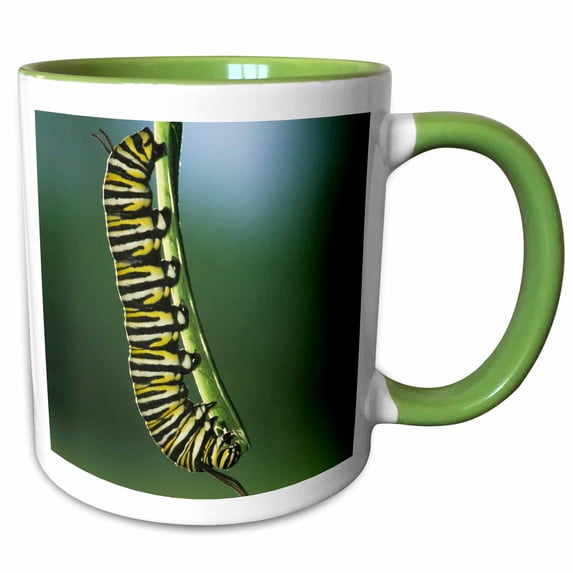 3drose, Monarch Caterpillar Insect, Rio Grande Valley, Tx - Us44 Rnu0198 - Rolf Nussbaumer, 11oz Two-tone Green Mug