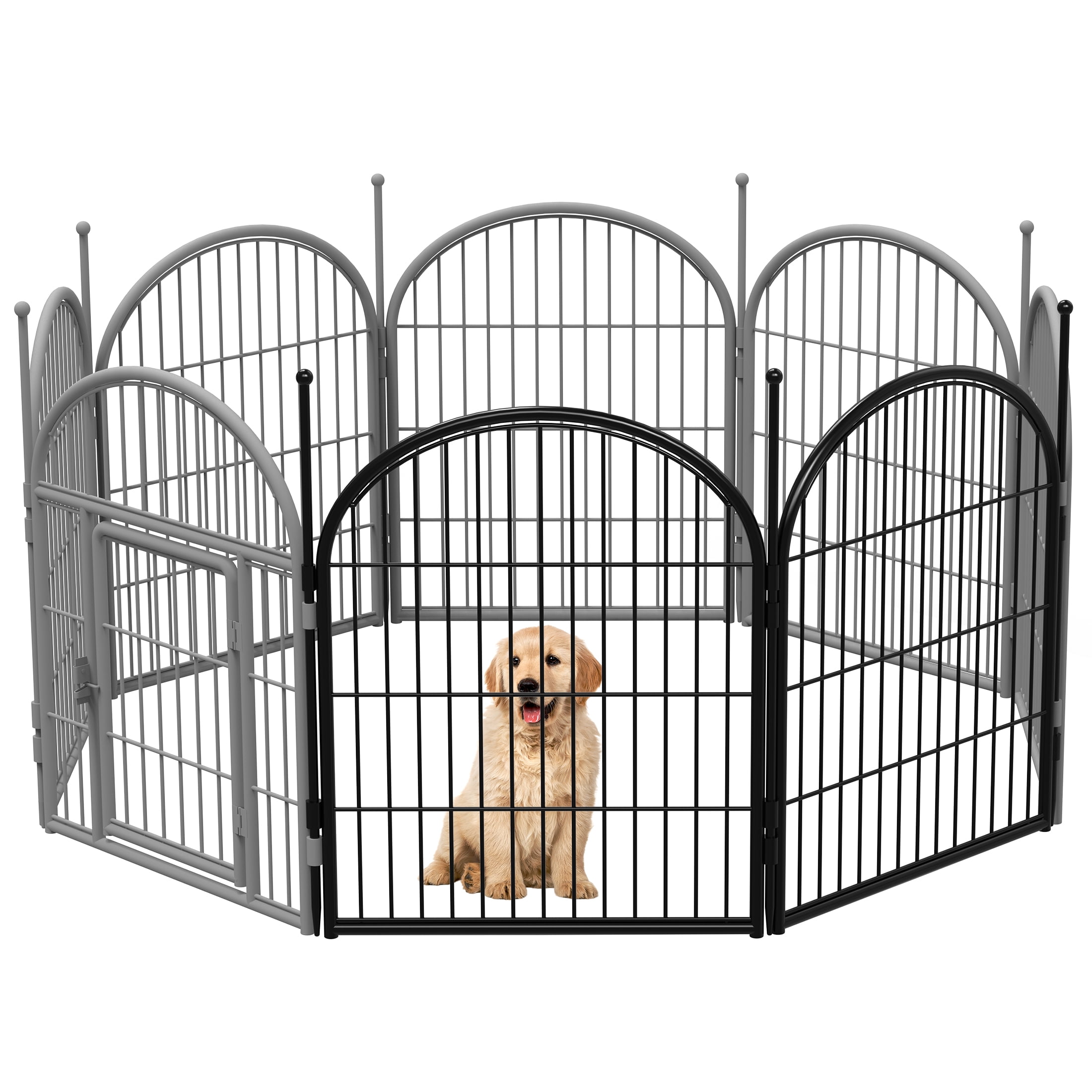 Dog Fence
