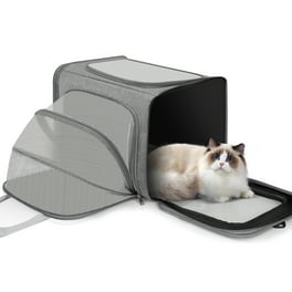 Large pet carrier walmart hot sale