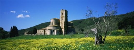 Monastery in a field San Antimo Monastery Tuscany Italy Canvas Art - Panoramic Images (30 x 12)