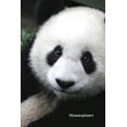 thumbnail image 1 of Monatsplaner (Paperback), 1 of 1
