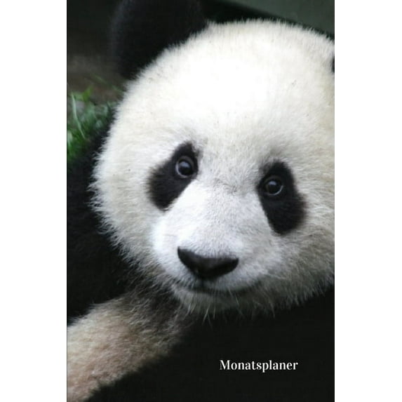 Monatsplaner (Paperback)