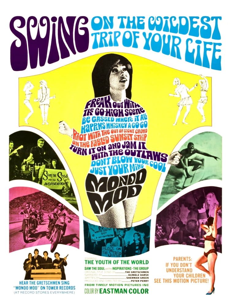 Mondo Mod Canvas Art - (24 x 36)
