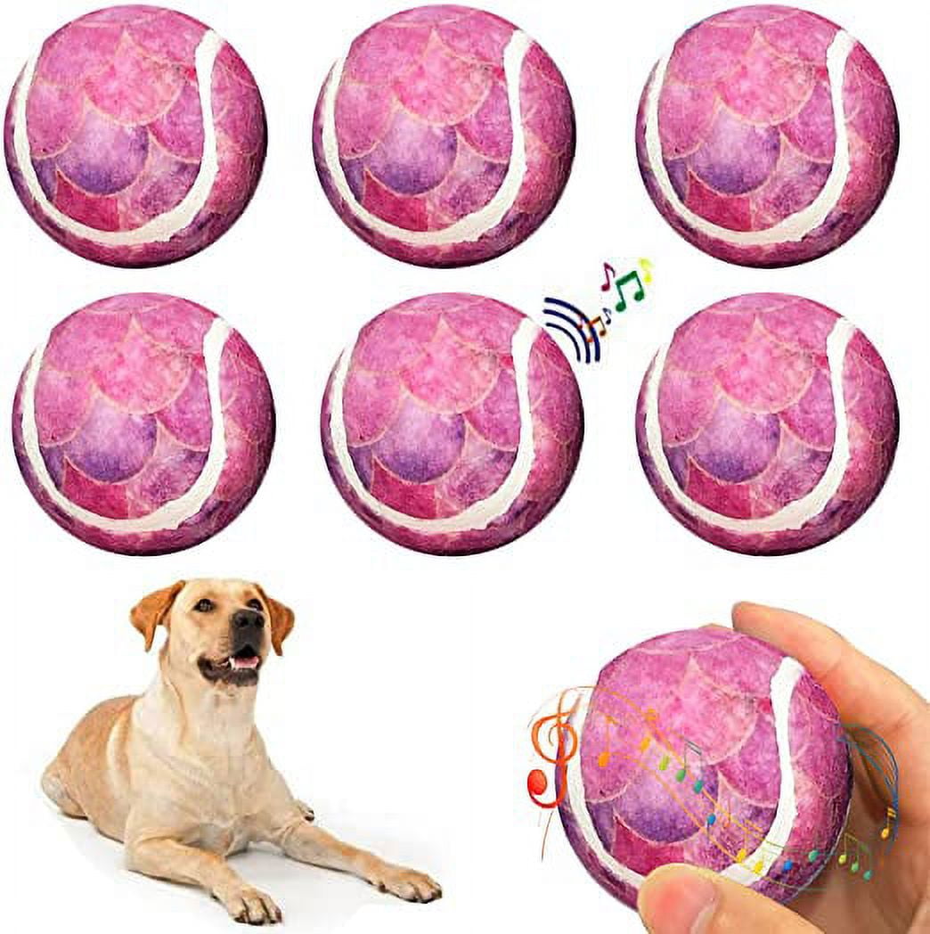Bite Resistant Dog Ball Toys for Small Large Dogs High Elasticity