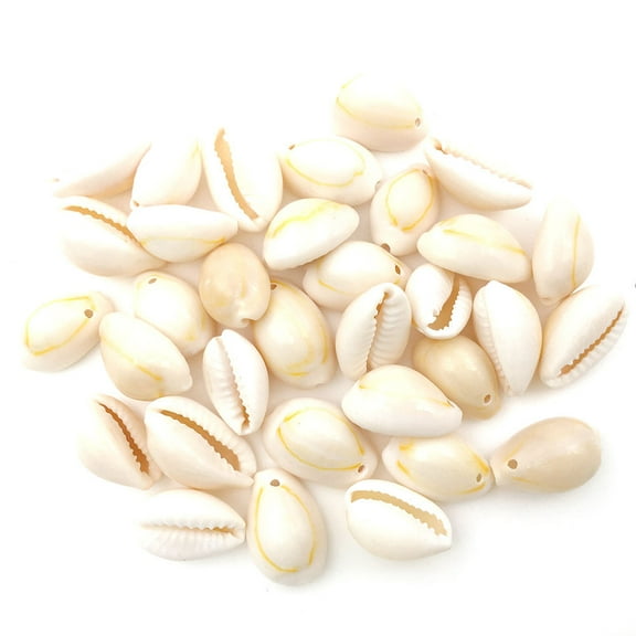 Monebena 100 PCS 20mm Natural Spiral Sea Shell About Tiny Cowrie Beach Seashells for Summer Ocean Jewelry Making Fish Tank Vase Filler Decor M01