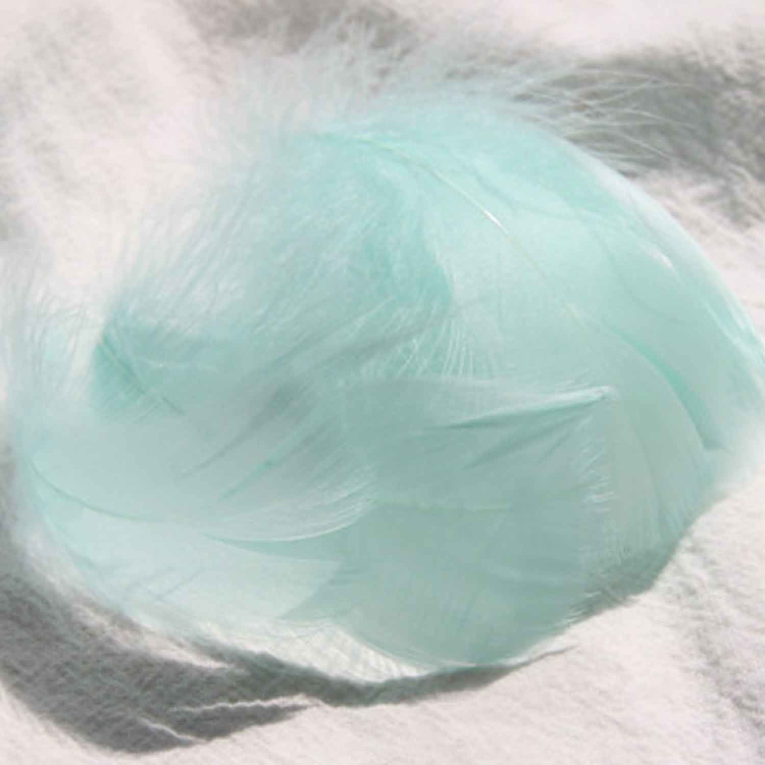 Monebena 100 Pcs Tiny Pastel Colors Goose Feather 5-8CM Assorted Fluffy ...