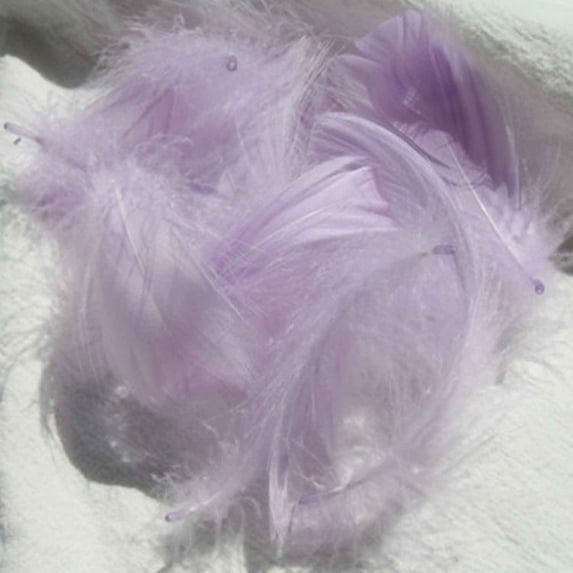 Monebena 100 Pcs Tiny Pastel Colors Goose Feather 5-8CM Assorted Fluffy Feathers for Crafts Dream Catcher Wedding Home Party Decorations Earrings Making M01