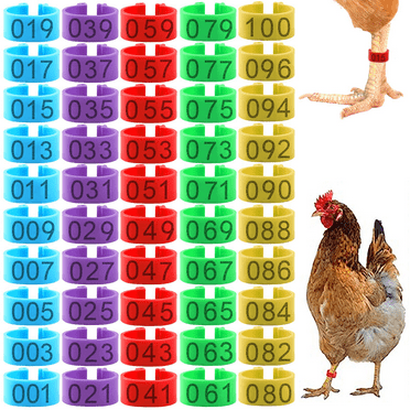 Monebena 100PCS Chicken Identification Band 5Color Plastic Poultry Chickens Ducks Leg Rings Clip-On Round Tags Poultry Identification Bands