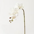 thumbnail image 1 of Monebena 2PCS 27.2" Tall Cream Silk Orchid Stems Artificial Flower Stem Real Touch Flower For Wedding Decorations, 1 of 8