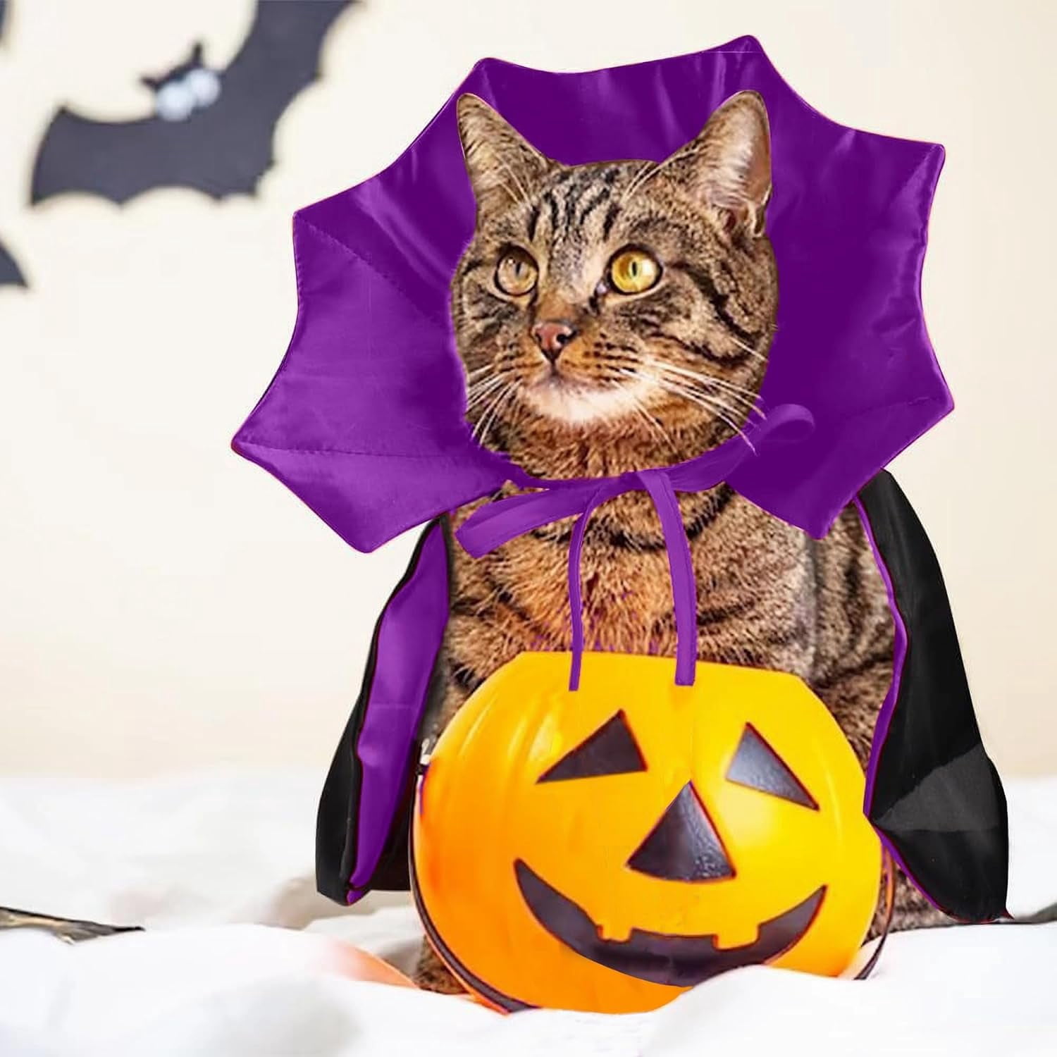 Monebena Halloween Pet Costume, Halloween Cat Vampire Cloak Costume ...
