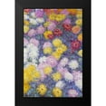 thumbnail image 1 of Monet, Claude 17x24 Black Modern Framed Museum Art Print Titled - Museumysanthemums, 1 of 4