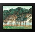 thumbnail image 1 of Monet, Claude 18x15 Black Modern Framed Museum Art Print Titled - Umbrella Pines-Antibes 1888, 1 of 4