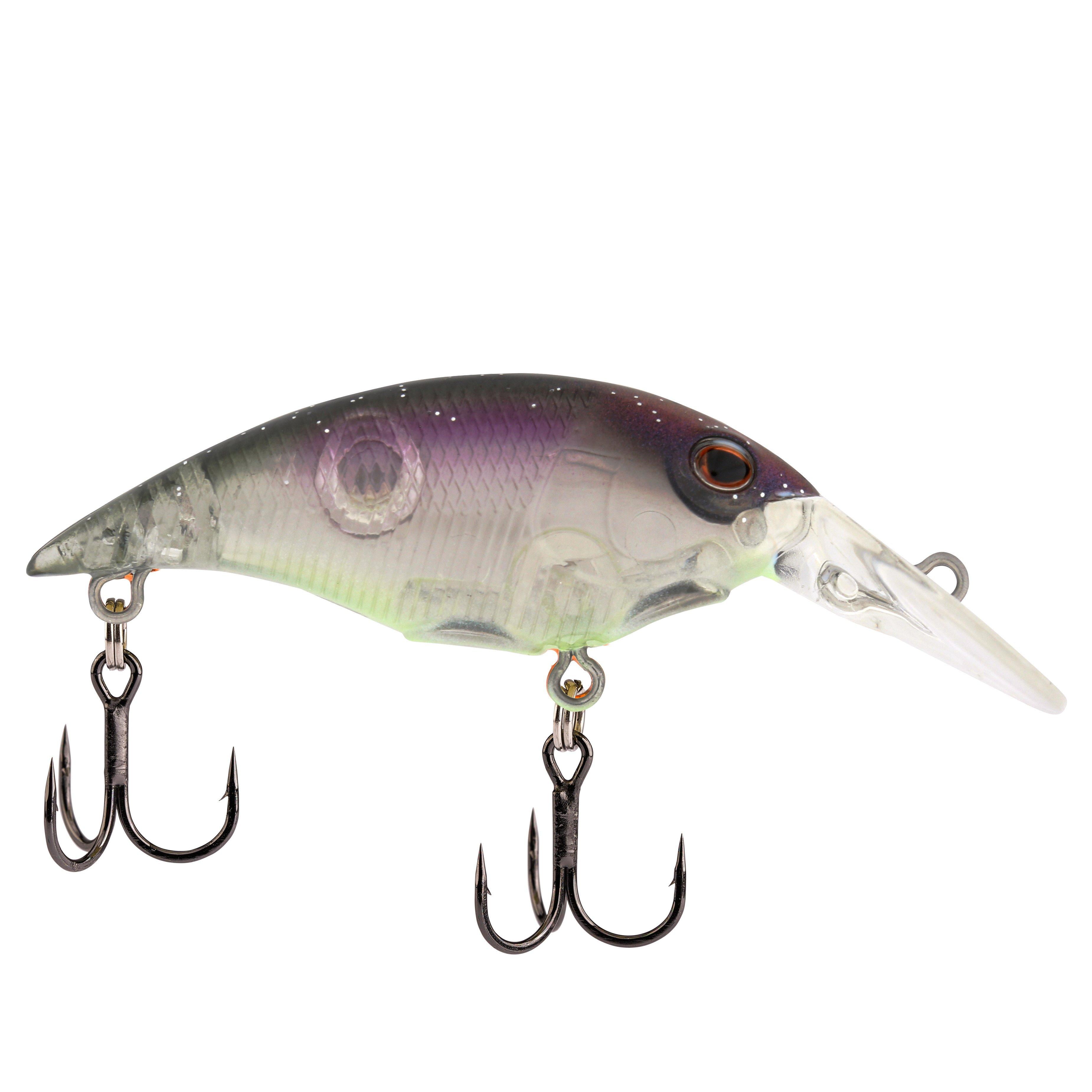 Berkley Money Badger, 4, Northern Lights