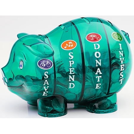 Money Savvy Pig Bank