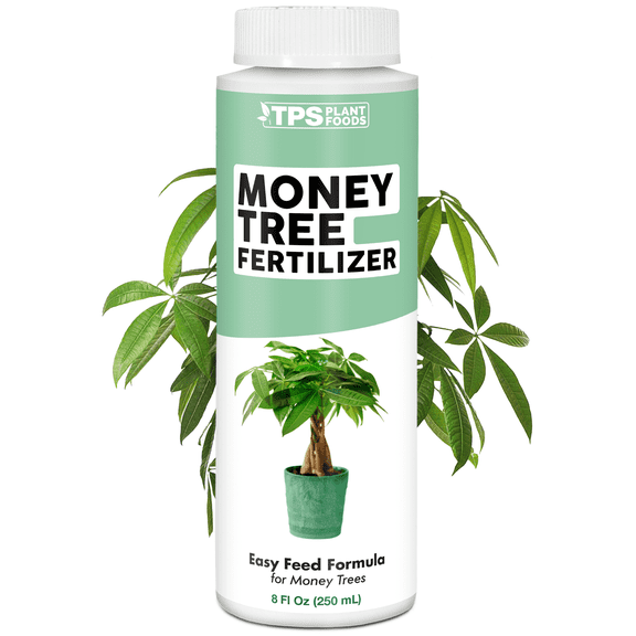 Money Tree Fertilizer for Money Trees and All Pachira Plants, Liquid Plant Food 8 oz (250mL)