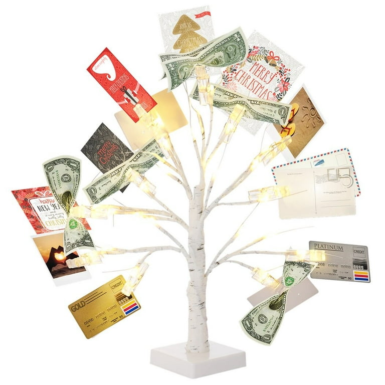 Money Tree Gift Holder, Money tree with 12 Clear Clips, Photo Cash Lottery  Ticket Holder, Unique Desktop Home Decorations for Christmas, Memo,  Birthday, Wedding, Graduation 